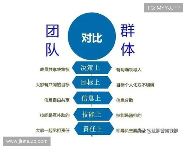 南京乒乓球队团队协作变革引发热议推动竞技水平提升与团队凝聚力增强